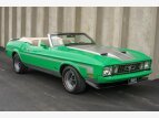 Thumbnail Photo 0 for 1973 Ford Mustang